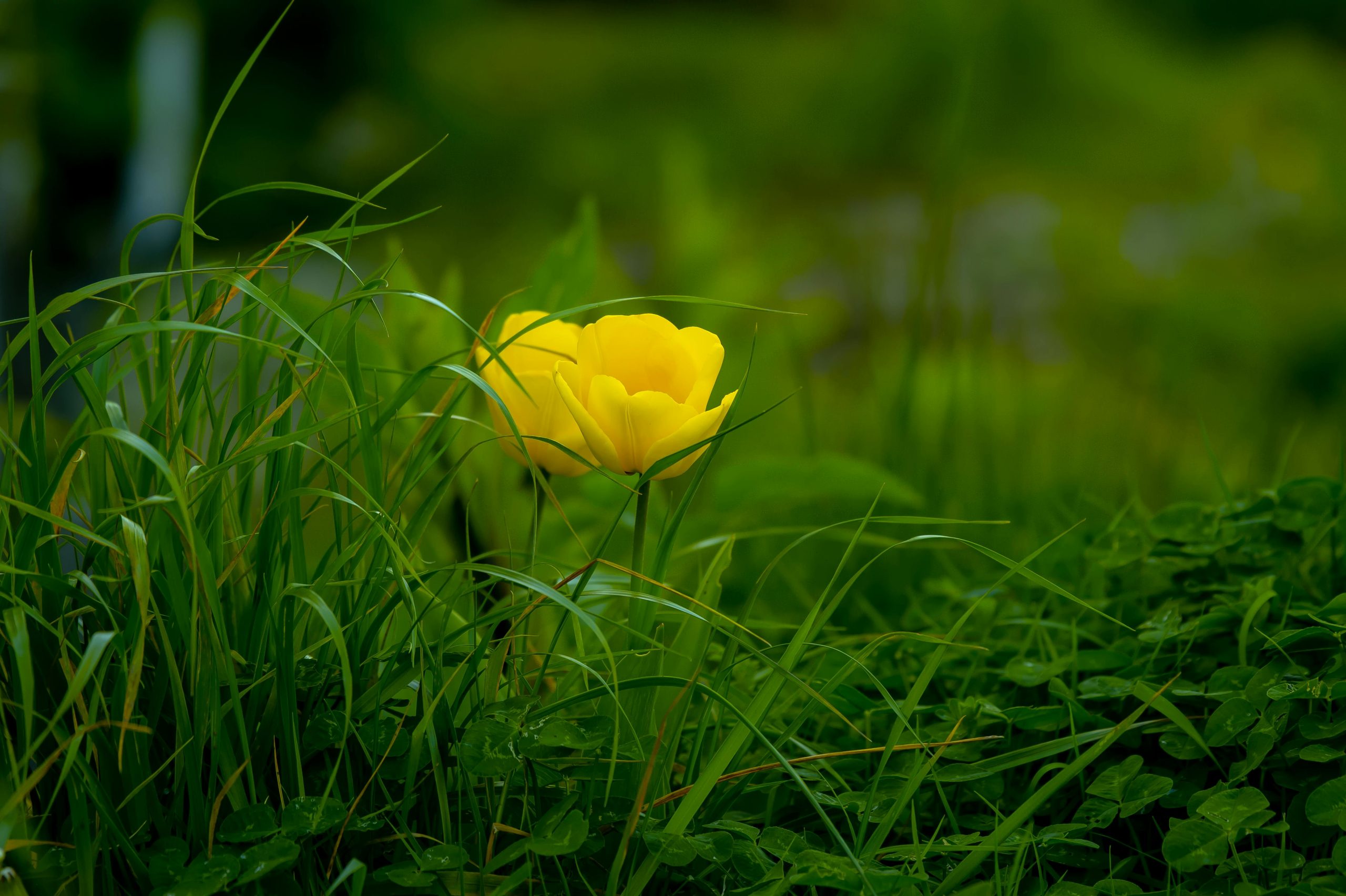 Test 1